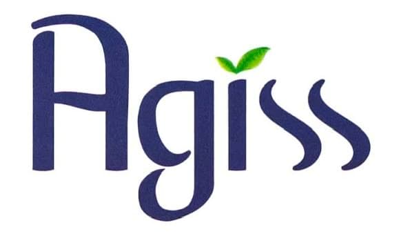Agiss